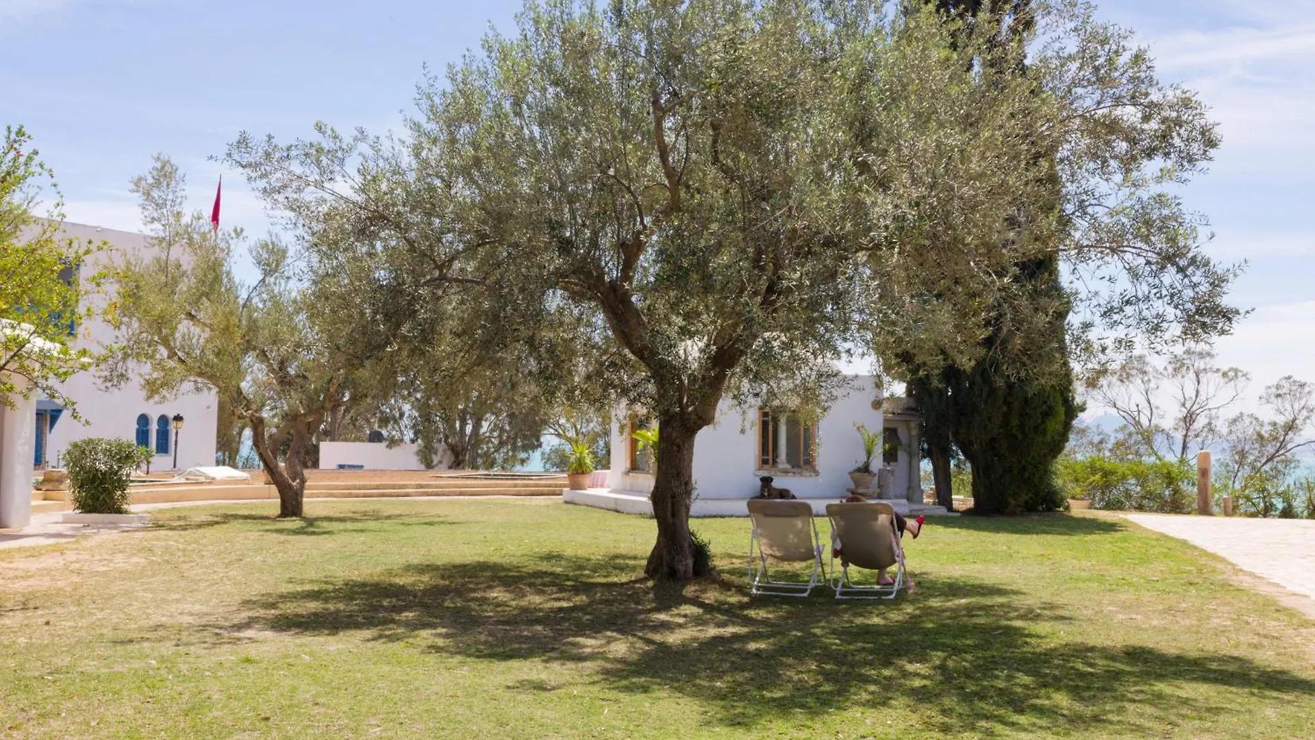 דירה תוניס Lella Khadija B&B Sidi Bou Said