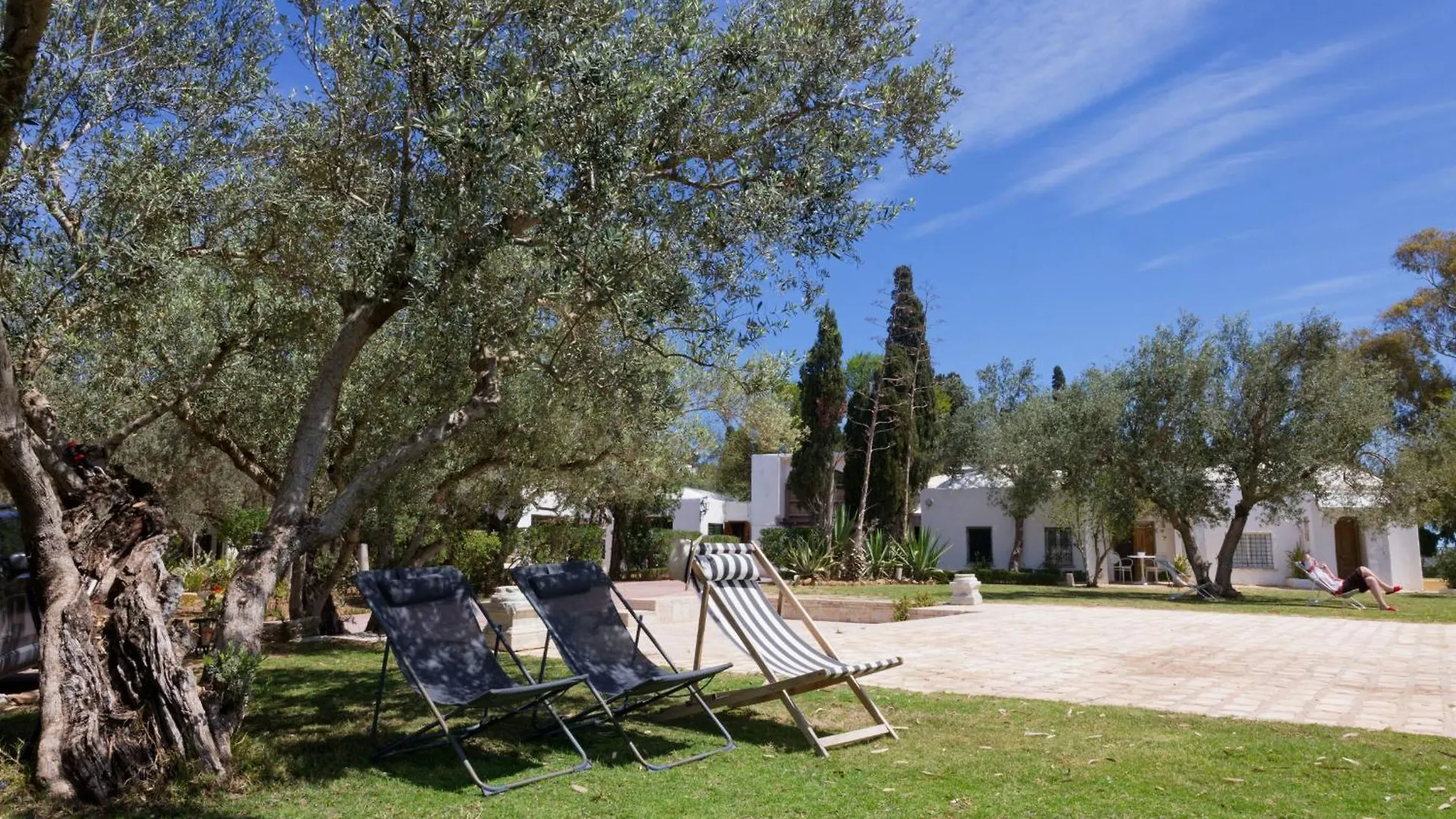 תוניס Lella Khadija B&B Sidi Bou Said תוניסיה