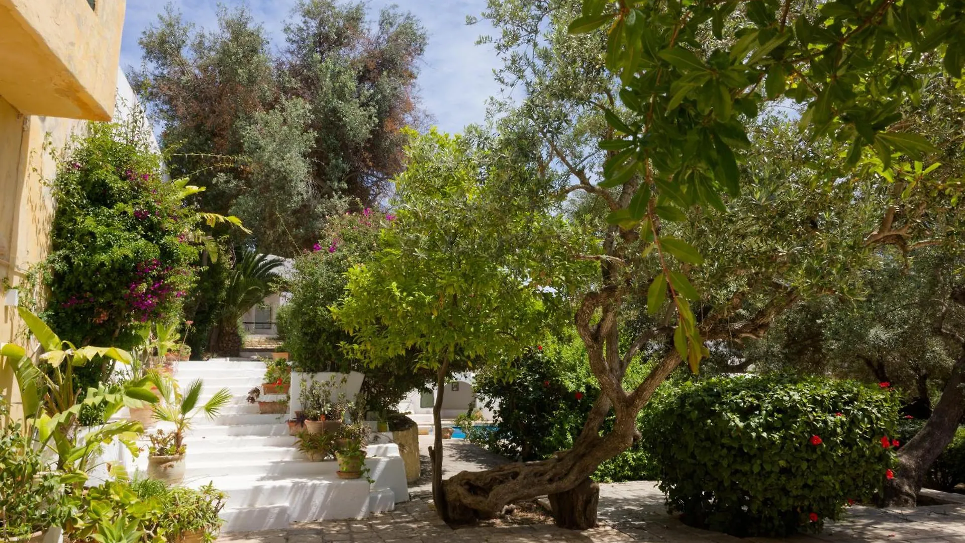 תוניס Lella Khadija B&B Sidi Bou Said דירה